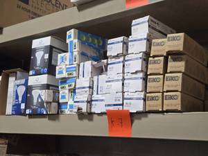 Lot of (12 Shelf) LED Bulbs - Screw-In and Plug-In (assorted)