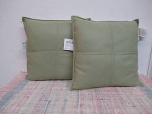 Two Sage Green 18x18 inch Decorative Pillows
