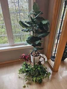 Household D�cor Silk-Plants