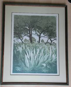 Lush Agave Field Landscape Framed Print