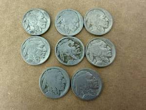 8 Buffalo Nickles