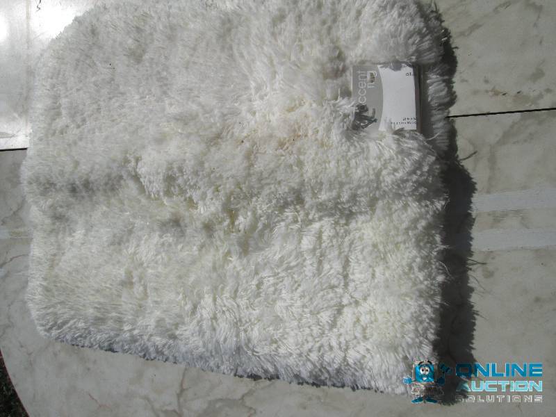 New 21 x 34 inch accent rug...