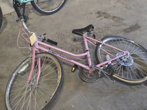 Kent Terra 25 Womens 10-speed Trail Bike 18 Pink  Lavender Frame