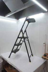 Gorilla Project Ladder