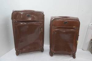 Ellen Tracy Luggage Set