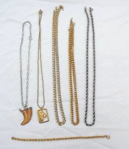 Jewelry Lot Silver & Gold Toned Chains. Lion Pendant, Stone ToothClaw Pendant