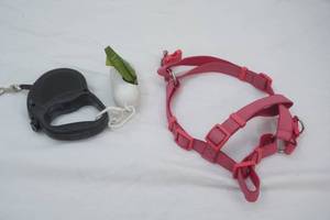 Pet Leash with Disposable Bags, Pet Harness