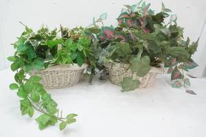 Artificial Green Plants and Baskets