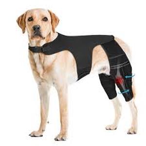 Pawfun Dog Knee Brace For Torn ACL Hind Leg Size Medium