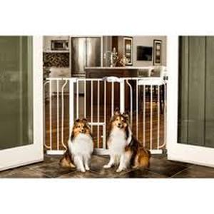 Carlson 51 Extra Wide Walk-Thru Pet Gate with Small Pet Door - White Steel, Pressure-Mounted