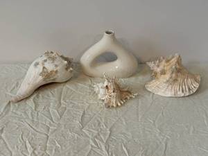 Donut-Shaped Ceramic Vase & Assorted Seashells - Coastal Decor Display