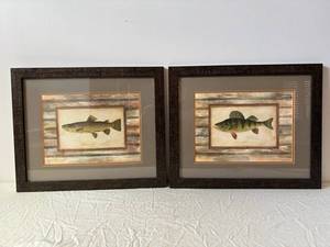 Framed Fish Prints - Brown Trout & Yellow Perch (Lot of 2)