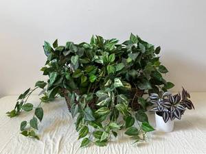 Threshold Potted Faux Plant - Variegated Pothos in White Pot