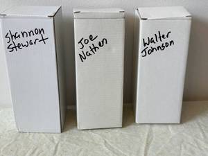 Minnesota Twins Bobbleheads - Shannon Stewart, Joe Nathan & Walter Johnson (Lot of 3)