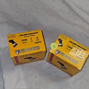 2-Fiocchi 20ga #4 Golden Pheasant