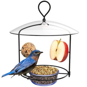 Natures Way Bluebird Buffet 34 Cup