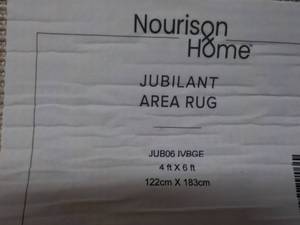 Nourison Home Jubilant 4 ft x 6 ft ...