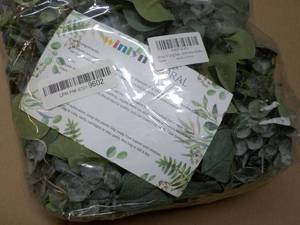 Winlyn Floral IndoorOutdoor...