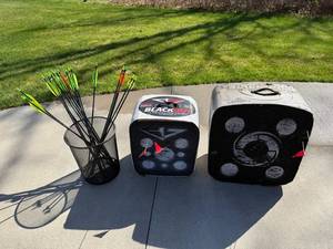 BlackOut 12-Sided Archery Targets (2) & Quest Neon Arrows