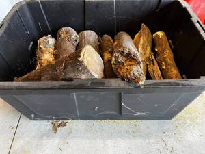 Assorted Firewood Logs in Tote - Ready for Burning