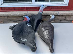 Turkey Decoys - Set of 3 Life-Size Plastic Field Decoys