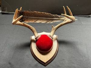 Deer Antler Trophy Mount on Shield-Style Wooden Plaque