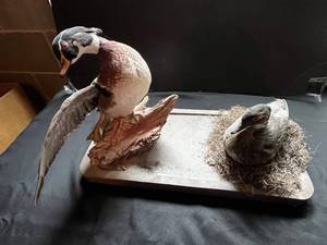 Pair of Mounted Ducks