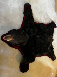 Bear Skin Rug - Bear Hide with Red Trim - Real Fur Floor or Wall Accent