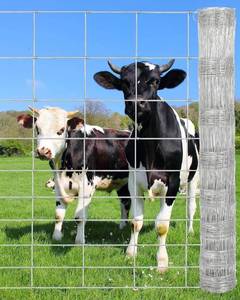 Garvee 4 X 164 Cattle Fence