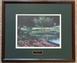 LL - Linda A. Koloc Ten Years - Blue CrossBlue Shield of MN Framed Print