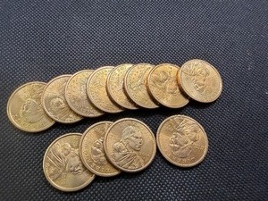 Twelve BU 2000 P Sacajawea Dollars