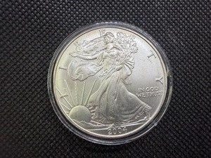 2004 BU 1 Oz. Silver American Eagle