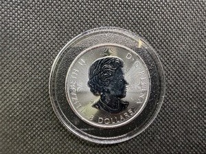 2018 BU Canada Silver $8.00 Buffalo 1 14 Oz. of .9999 Silver
