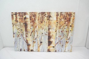 Canvas Art Print. 36x 24 White Forest by Lisa Audit