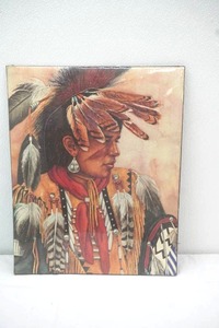 Vintage Native American Art Print Poster 16x20
