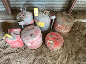 Multiple Gas Gans