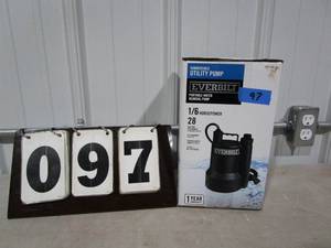 Everbilt Submersible Pump