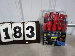 Torq Screwdriver & Bit 21 pc Set