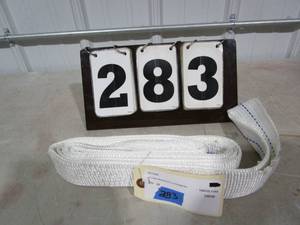 Websling 2 x 8ft Strap