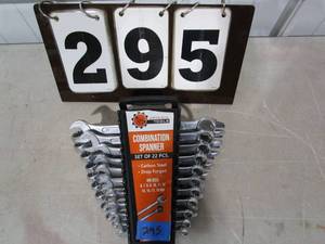 Artesia Tools 22 pc Combination Spanner Wrench Set