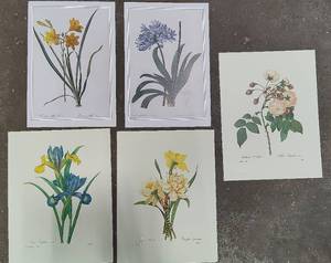 Five Pieces of Floral Art - Not Framed