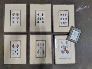 Asst Shell Framed Art Pcs