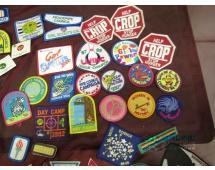 Girl Scout pins and badges...