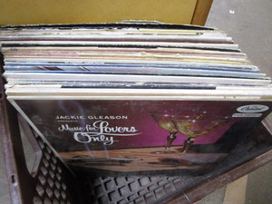 Records in Milk Crate