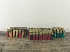 Large Lot of Shotgun Shells