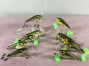 Lot of 10 Bagley Fishing Lures Shaped Like Bass