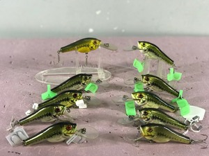 Lot of 10 Bagley Fishing Lures Shaped Like Bass