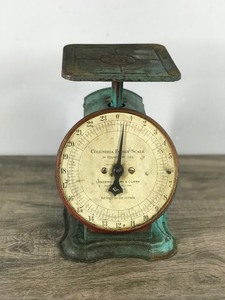 Vintage Columbia Family Scale - 24 Pounds by OZs