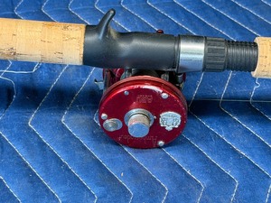 Ambassassduer 6000 Fishing Reel with Daiwa Custom Design Triforce 6ft Fishing Rod