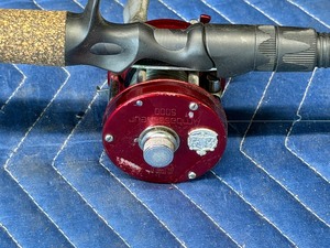 Ambassaduer 5000 Reel with Berkley Lightning 7ft Rod